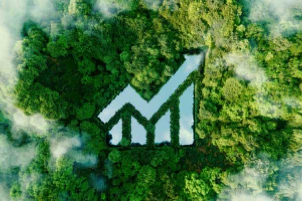 招商银行本周派发现金红利！已有超半数A股银行进行2025年度中期分红